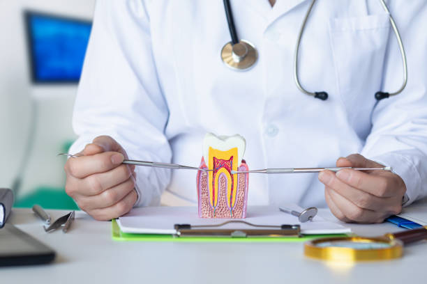 Best Pediatric Emergency Dentist in South Lebanon, OH